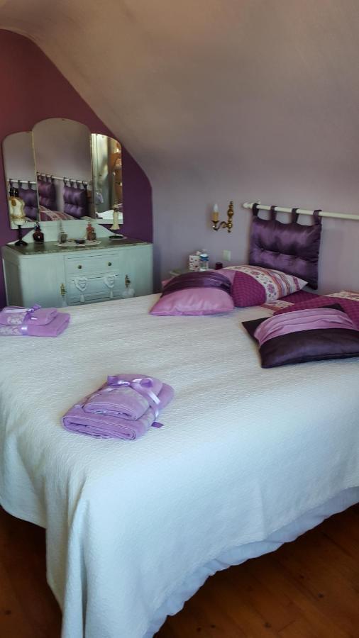 Au berceau du loup agile Bed & Breakfast Offendorf Bagian luar foto